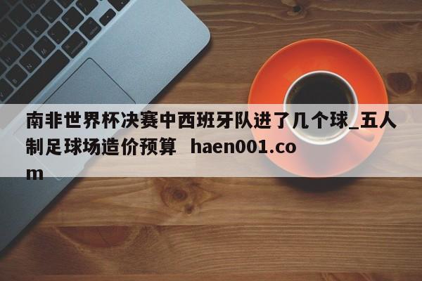 南非世界杯决赛中西班牙队进了几个球_五人制足球场造价预算  haen001.com